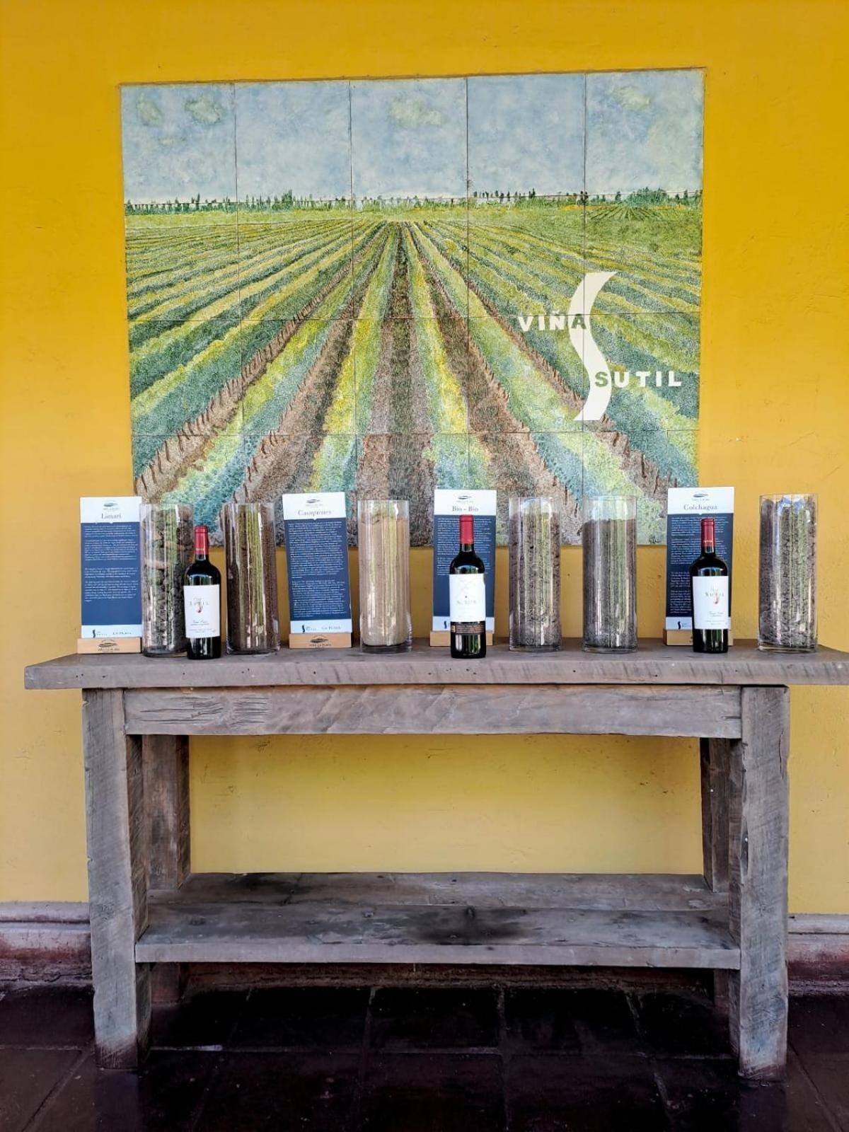 Vina La Playa Hotel & Winery Санта Крус Екстериор снимка